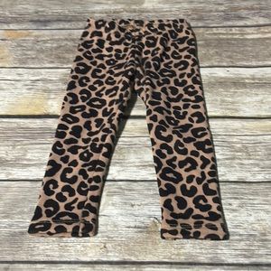Gymboree Baby Girls Cheetah Print Pants